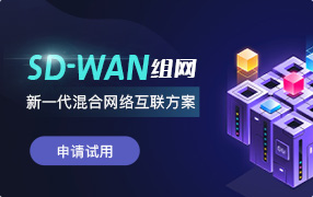 SD-WAN組網